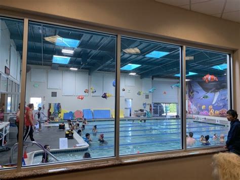 american swim academy dublin|American Swim Academy, 6948 Sierra Ct, Dublin, CA, Swimming .